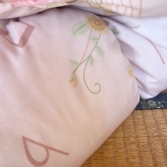 ロマンス小杉 ジュニア羽毛布団 子供用 掛け布団の画像