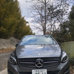 車検取立てのベンツです。