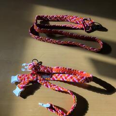 Toto＆Pal ハーネスとリードの画像