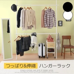 つっぱり収納 衣装ケース

