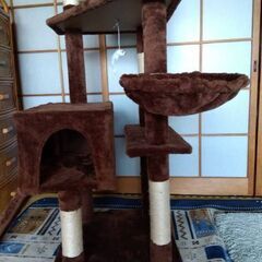 キャットタワー（譲り先決まりました）