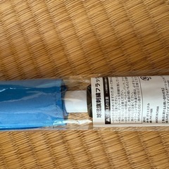 西武ライオンズ　24年度ファンクラブ特典　色々の画像