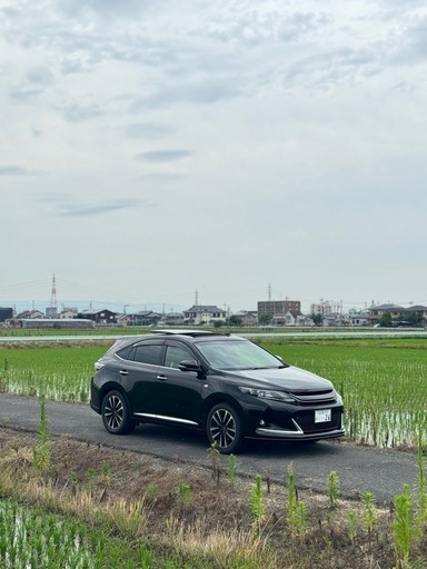 ハリアーホイール