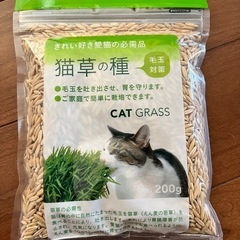 猫草の種の画像
