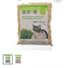 猫草の種