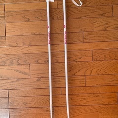 子ども用 スキー板とストックの画像