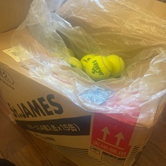 テニスボール　練習用の画像