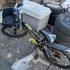 20インチ子供自転車の画像