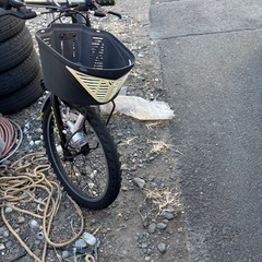 20インチ子供自転車の画像