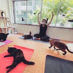 2025年1月26日(日)　保護猫チャリティーヨガ - スポーツ