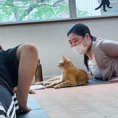 2025年1月26日(日)　保護猫チャリティーヨガ - イベント