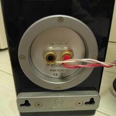 【終了】超破格！Monitor Audio  Radius250の画像