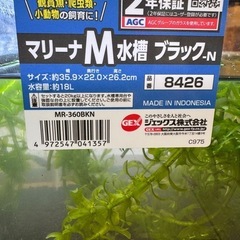 美品セット 水槽 ソイル  水草大株 メダカの画像