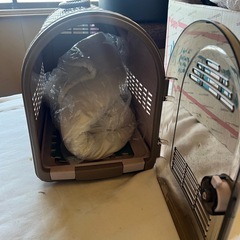 犬のケ-ジの画像