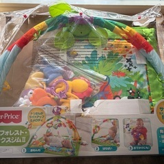 フィッシャープライス レインフォレスト・デラックスジム IIの画像