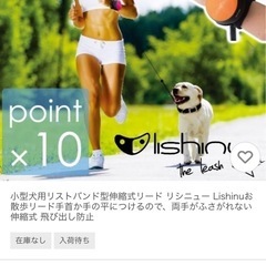 小型犬用リストバンド型伸縮リードの画像