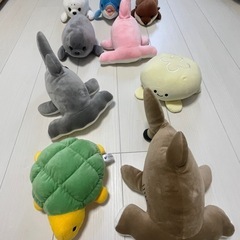 新江ノ島水族館 クジ ぬいぐるみ