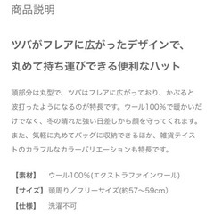 帽子　ウールの画像