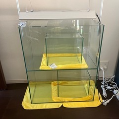 ガラス水槽 エーハイム EJ-60 60×30×36cmの画像