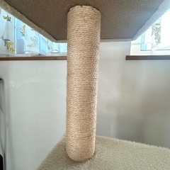 【終了】キャットタワーの画像