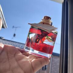 フランス製☆Collines天然ハーブオイルランプ　7600円の画像