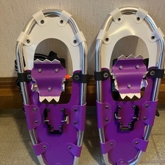 スノーシュー　一回のみ
1h使用しました の画像