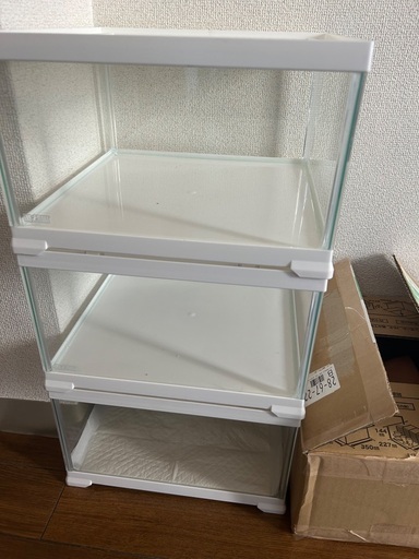 爬虫類用品