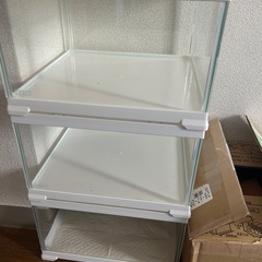 爬虫類用品