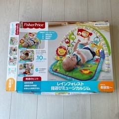 フィッシャープライス　レインフォレスト　指遊びミュージカルジムの画像