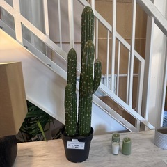 サボテンの置物