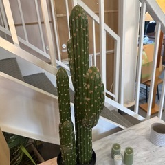 サボテンの置物の画像