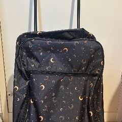 【値下げしました】キャリーカート【掲載25日まで】