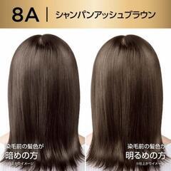 ロレアル　パリ　オレオリュクス8Aの画像