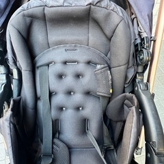 CombiスゴカルSwitch plus エッグショックEX　の画像