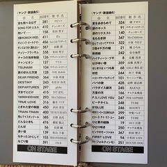 パーソナルカラオケ　Z－ＰＫ30
の画像