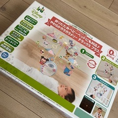 ディズニー　メリー