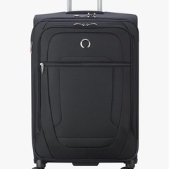パリで購入DELSEY スーツケースLサイズ
