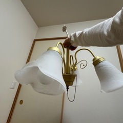 すずらん型リビング照明、決まりました。