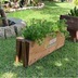 ランキングキーワードに紐づく投稿画像-多肉植物
