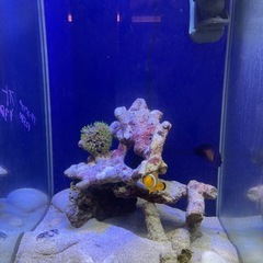 水槽の画像