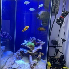 水槽の画像