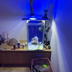 水槽の画像