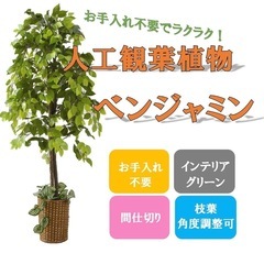 人工観葉植物♥️ ベンジャミン　150cm 鉢付き　インテリア　お洒落