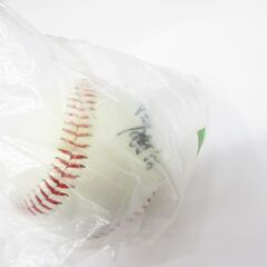 ■未使用　西武ライオンズ　松坂大輔　印刷サインボールの画像