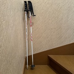 無料！！難あり スキー ストック HEAD 
95cm
