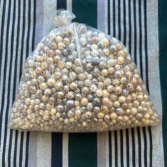 【アクセサリー素材に】バロック真珠500g(約500個)
