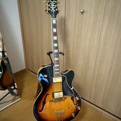 Epiphone emperor II pro