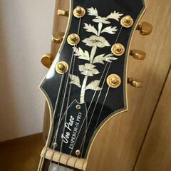 Epiphone emperor II proの画像