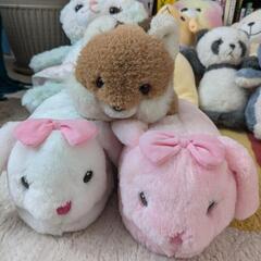 お話し中！ぬいぐるみたくさん♪の画像