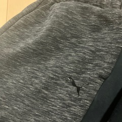 PUMA スエットセットアップの画像